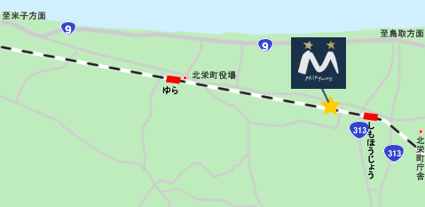 案内地図